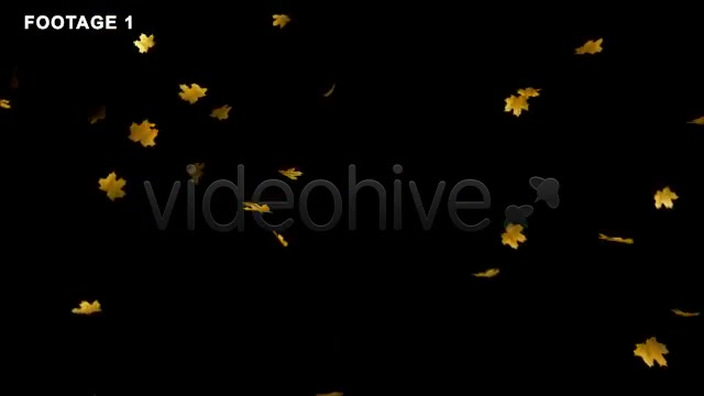 Flying Leaves(LOOP 60 FPS) - Download Videohive 544103