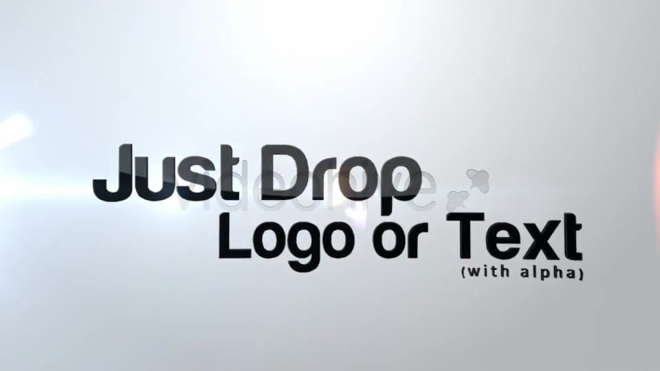 Flying Logo - Download Videohive 3876661