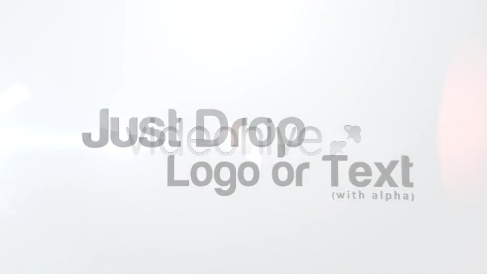 Flying Logo - Download Videohive 3876661