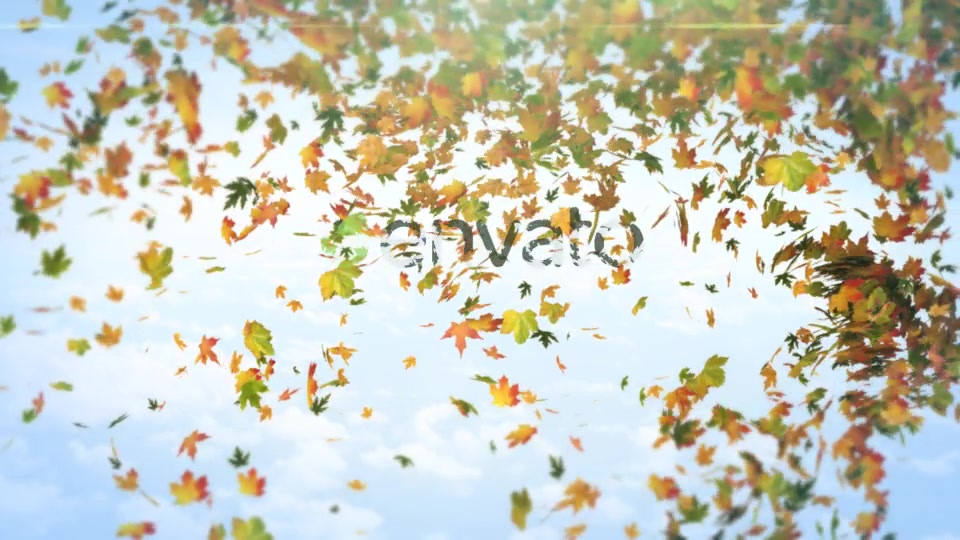 Flying Maples Logo Reveal Videohive 19646448 After Effects Image 4