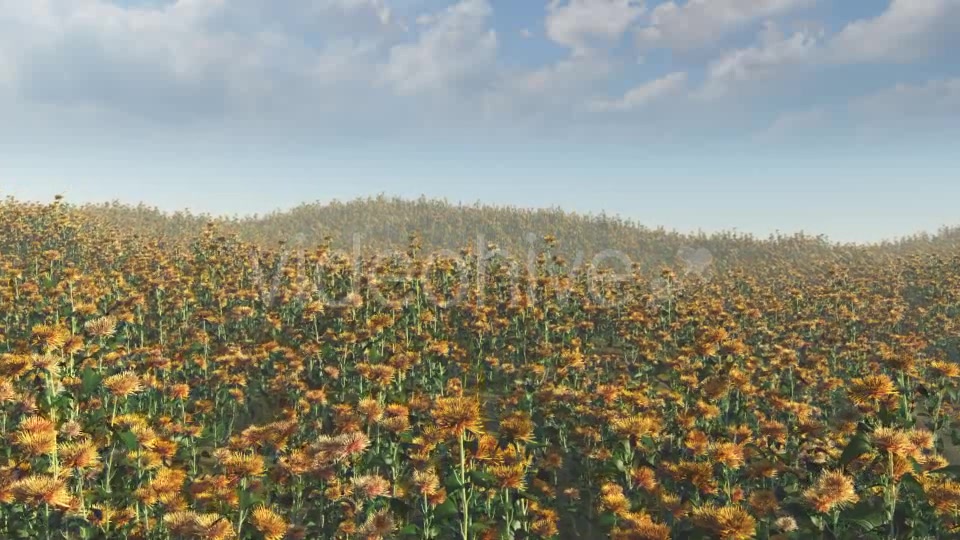 Flying On Flowers - Download Videohive 15985180