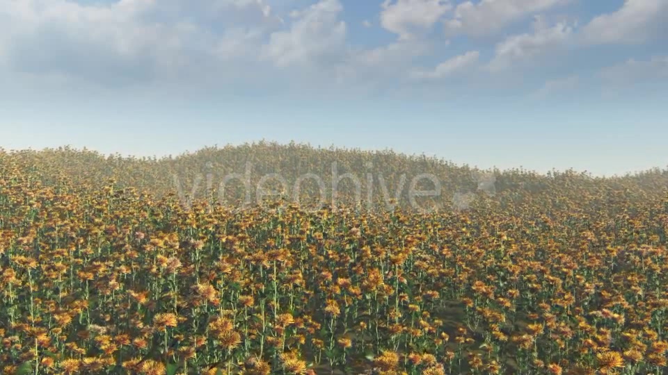 Flying On Flowers - Download Videohive 15985180