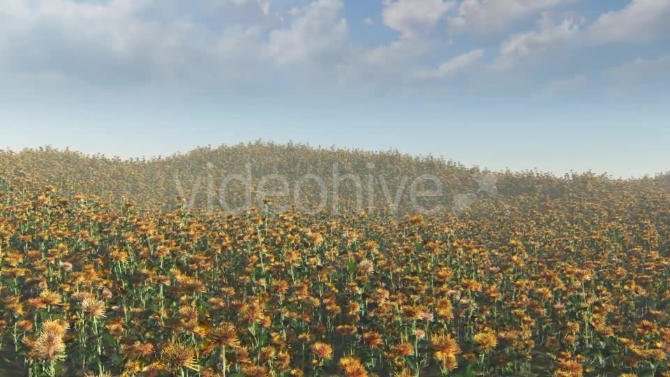 Flying On Flowers - Download Videohive 15985180