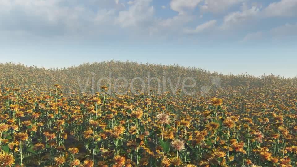 Flying On Flowers - Download Videohive 15985180