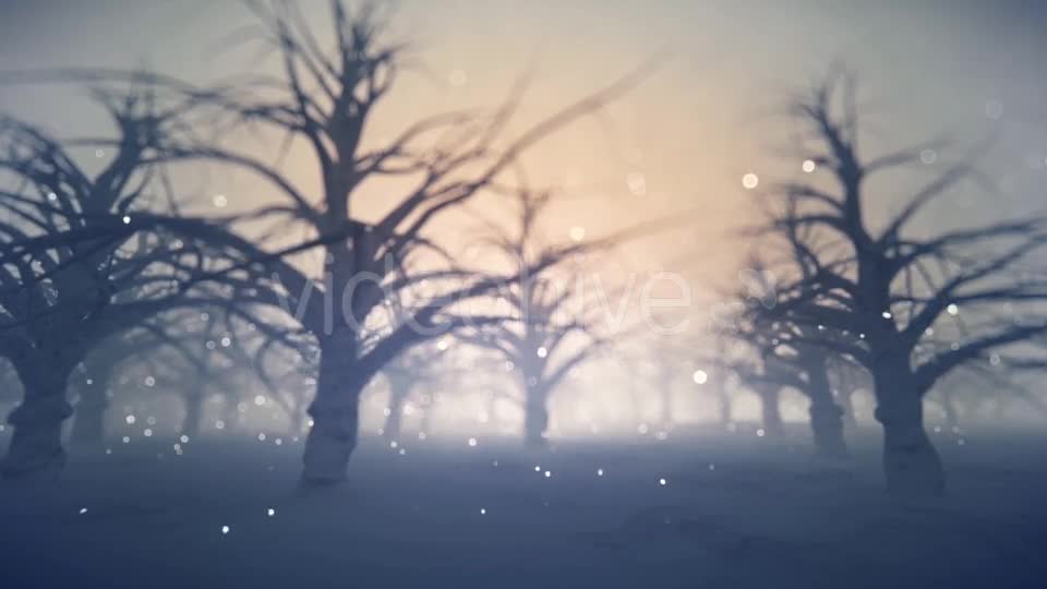 Forest Covered with Snow - Download Videohive 13360006