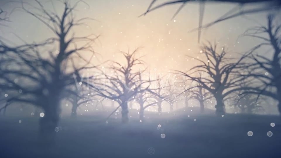 Forest Covered with Snow - Download Videohive 13360006