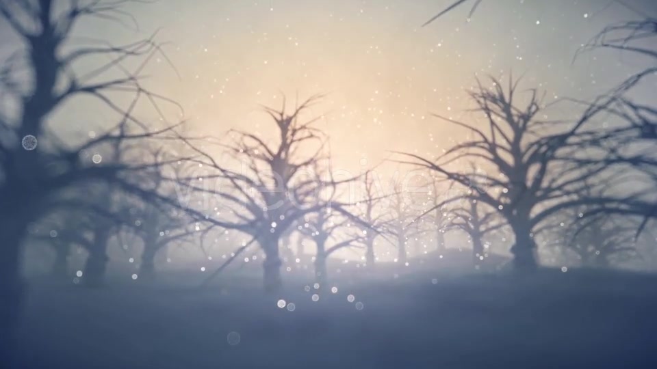 Forest Covered with Snow - Download Videohive 13360006