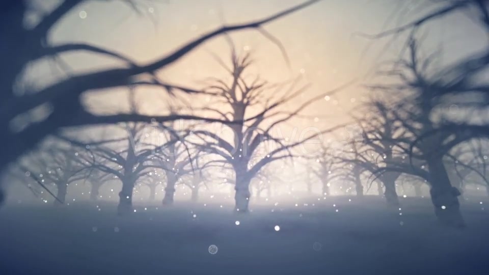 Forest Covered with Snow - Download Videohive 13360006