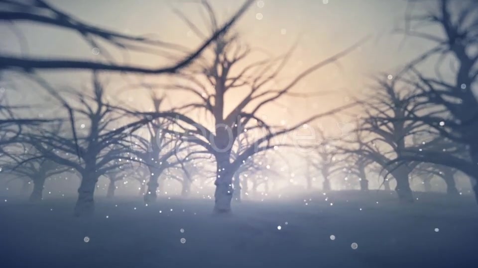 Forest Covered with Snow - Download Videohive 13360006