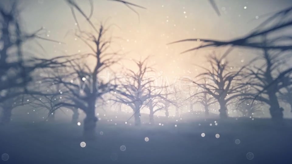 Forest Covered with Snow - Download Videohive 13360006