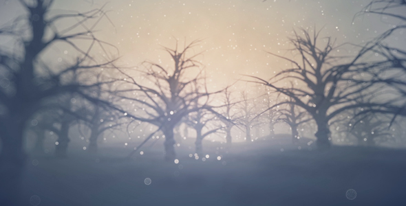 Forest Covered with Snow - Download Videohive 13360006