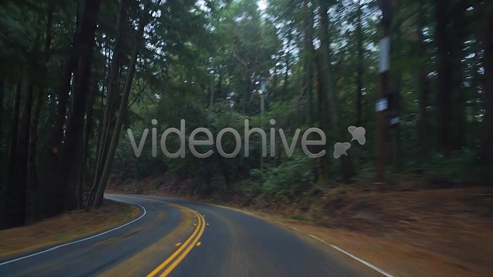Forest Drive  Videohive 6274164 Stock Footage Image 11