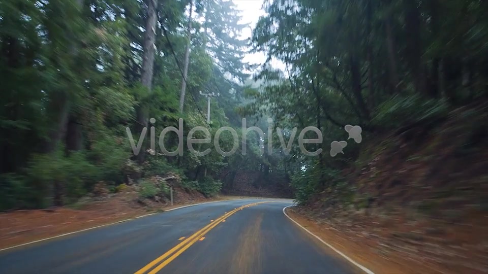 Forest Drive  Videohive 6274164 Stock Footage Image 12