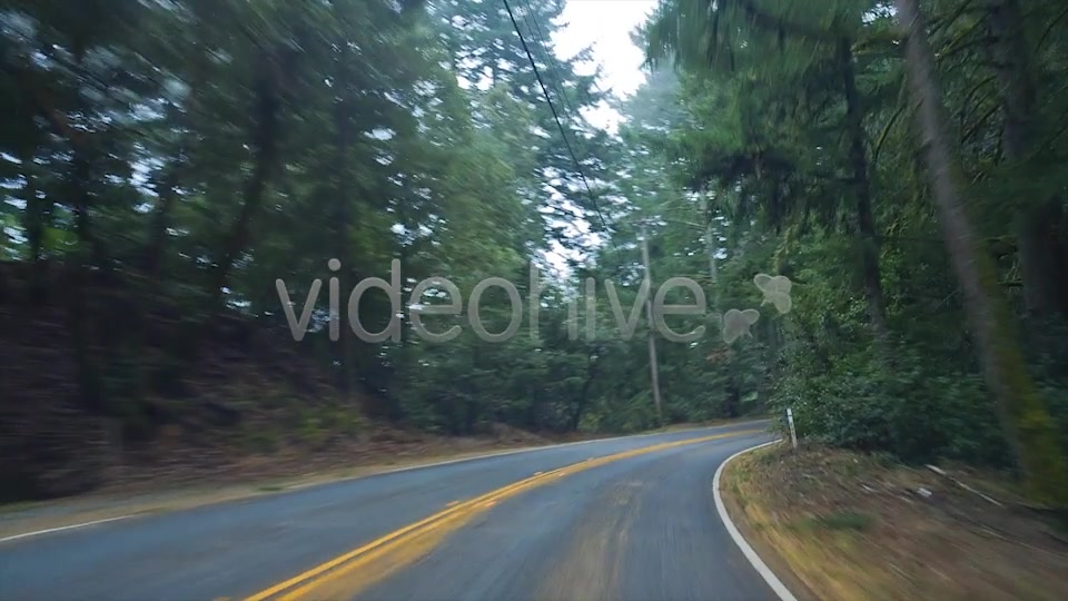 Forest Drive  Videohive 6274164 Stock Footage Image 13
