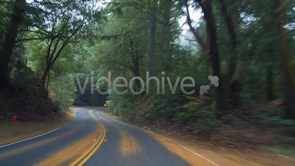 Forest Drive  Videohive 6274164 Stock Footage Image 2