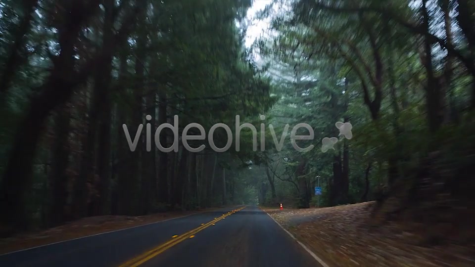 Forest Drive  Videohive 6274164 Stock Footage Image 6
