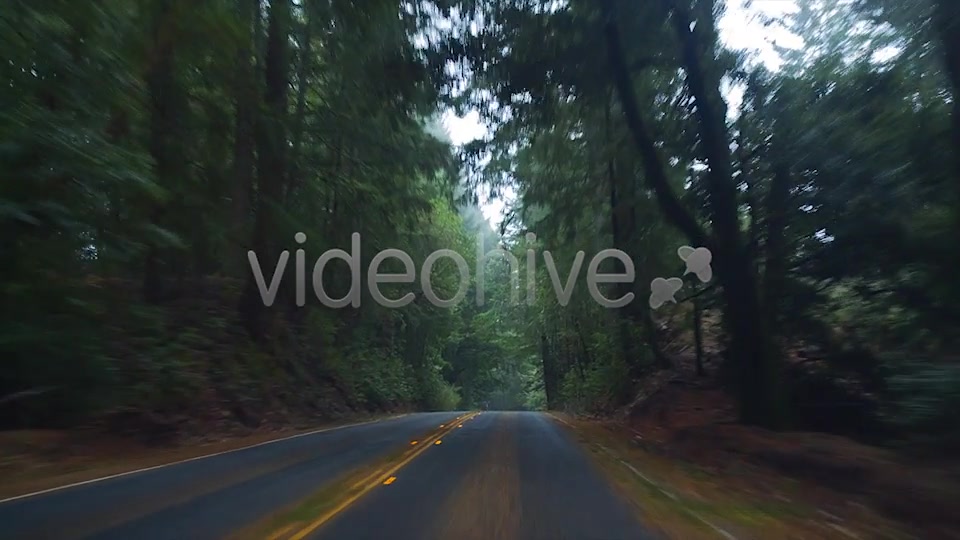 Forest Drive  Videohive 6274164 Stock Footage Image 8