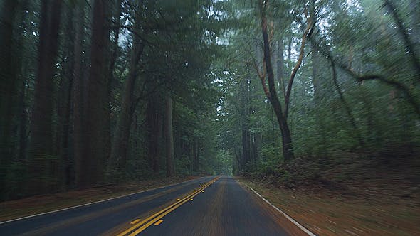 Forest Drive  - Videohive Download 6274164