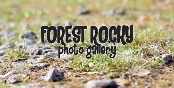 Forest Rocky Photo Gallery - Download Videohive 7724075
