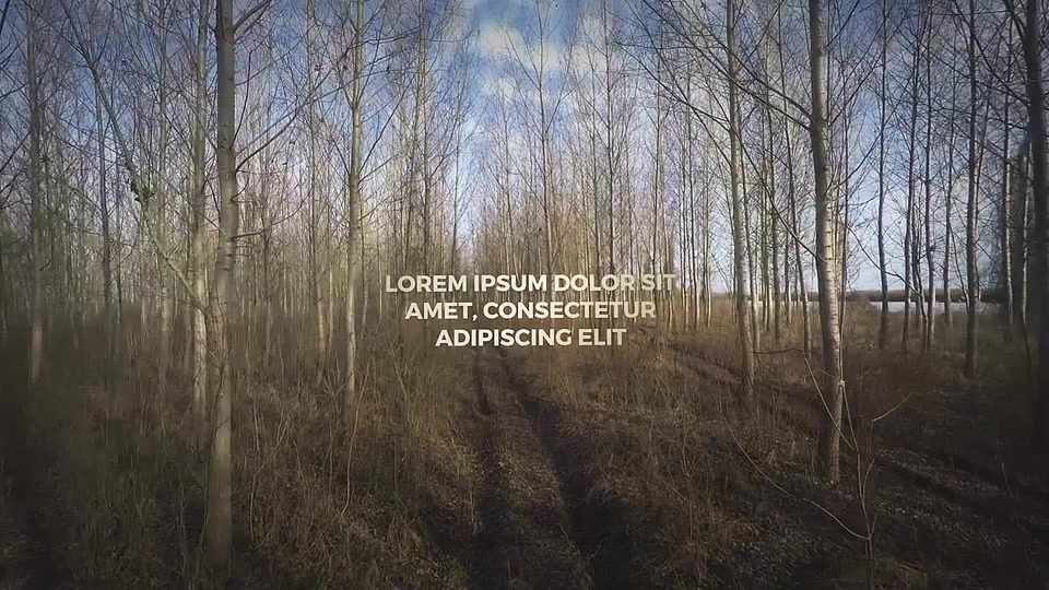 Forest Walkthrough - Download Videohive 15292093