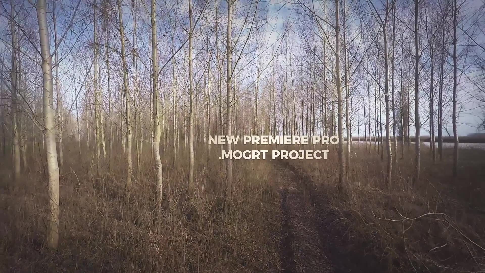 Forest Walkthrough (Mogrt) Videohive 23997969 Premiere Pro Image 3