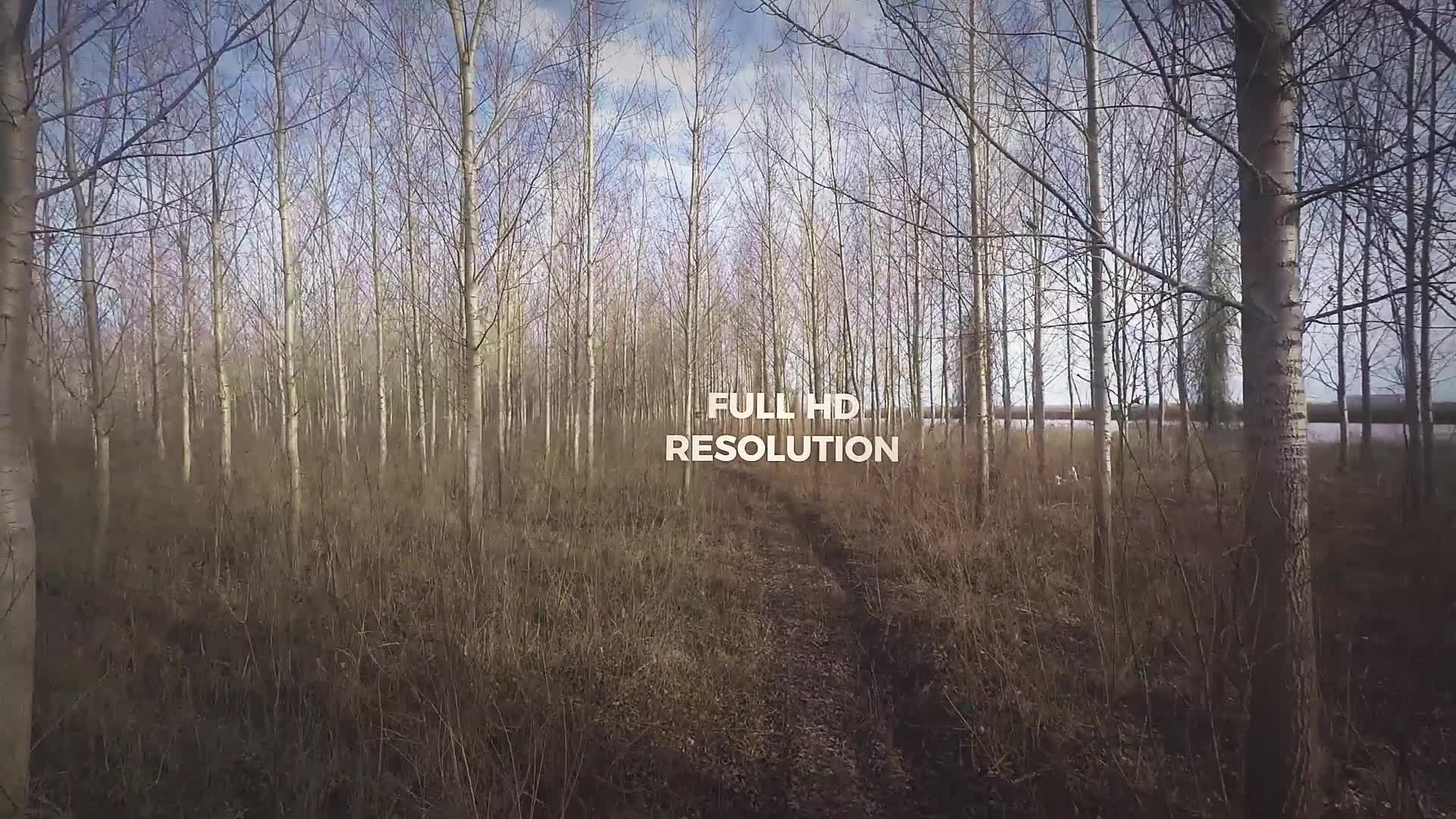 Forest Walkthrough (Mogrt) Videohive 23997969 Premiere Pro Image 5
