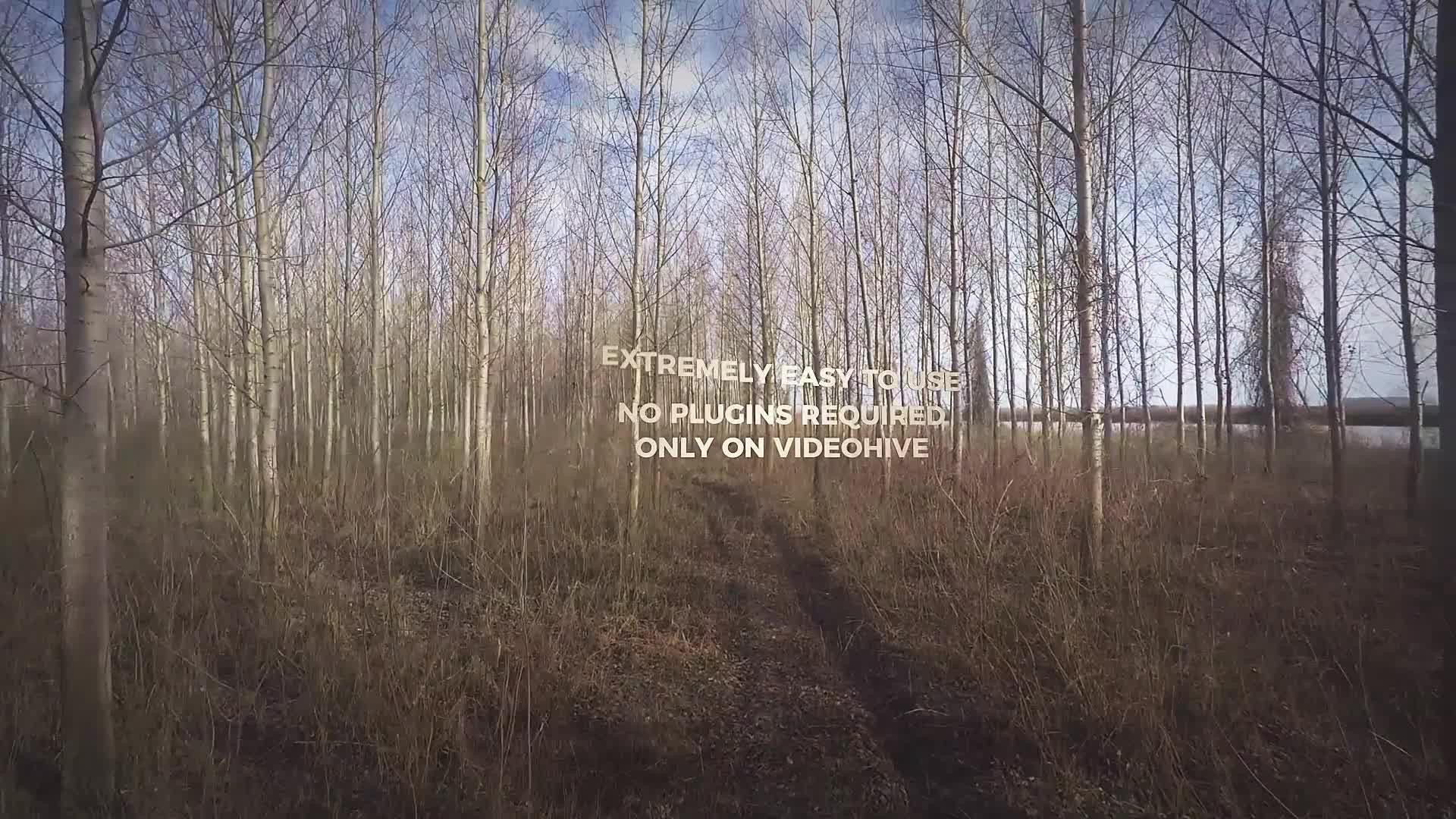 Forest Walkthrough (Mogrt) Videohive 23997969 Premiere Pro Image 6