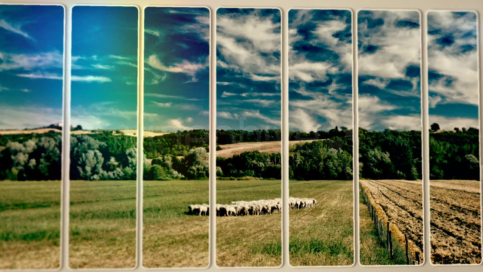 Frame Slide Show Videohive 4114678 After Effects Image 2