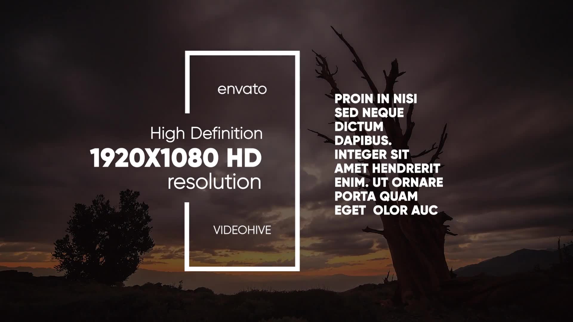 Frame Titles I MOGRT Videohive 23020997 Premiere Pro Image 3