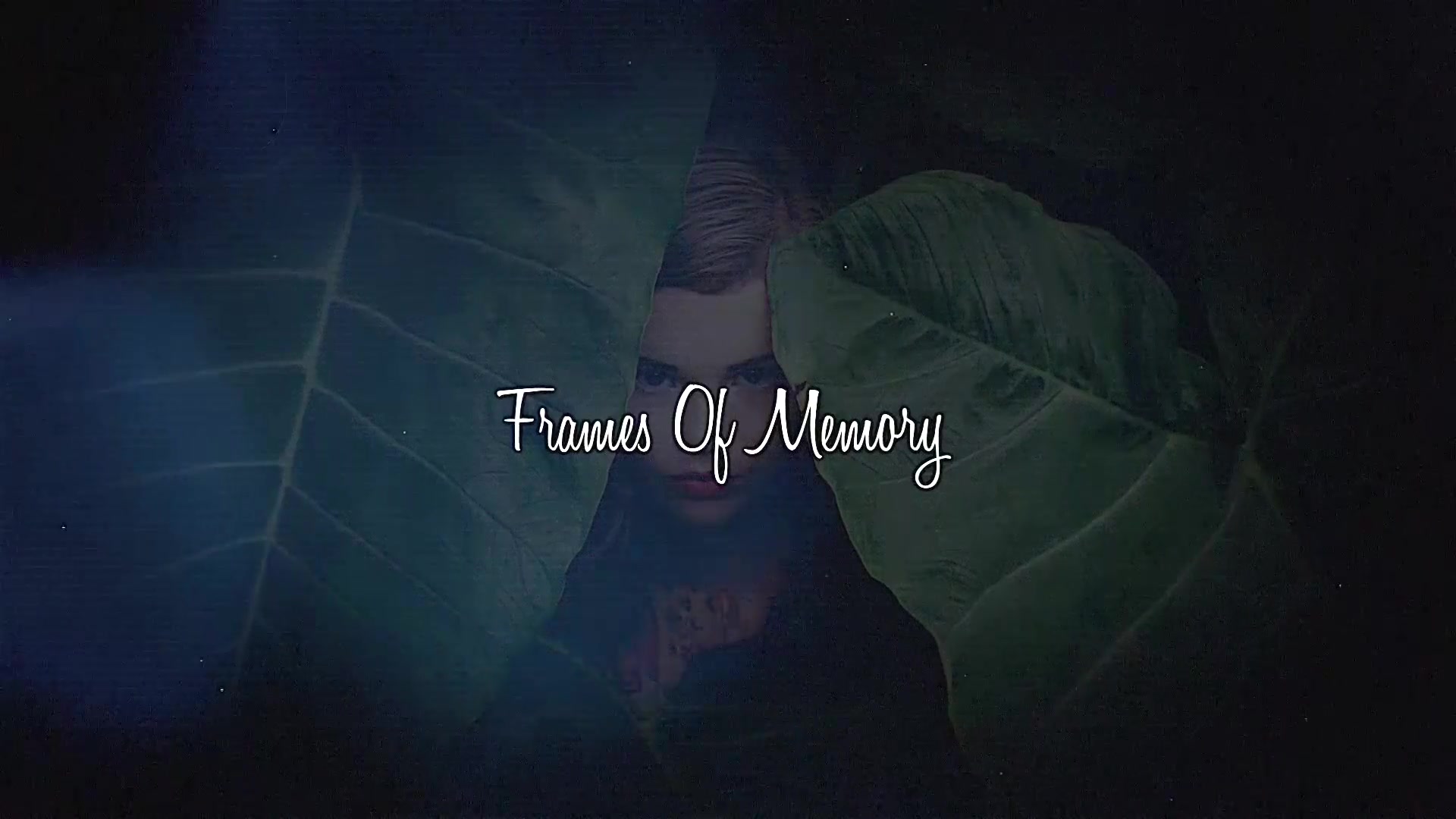 Frames of Memory Videohive 24259324 Apple Motion Image 12