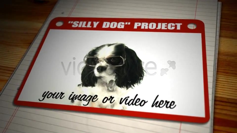 Freelancer Portfolio Hi, My Name is... - Download Videohive 1054574