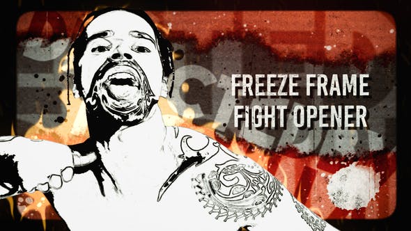 Freeze Frame Fight Opener - Videohive Download 32472321