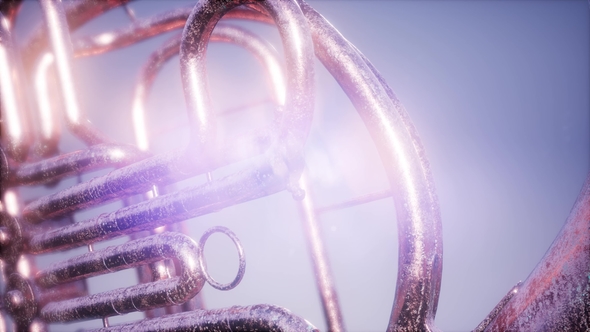French Horn - Download Videohive 22008051