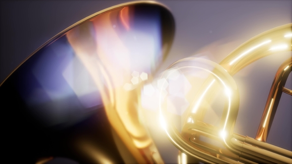 French Horn - Download Videohive 22008145