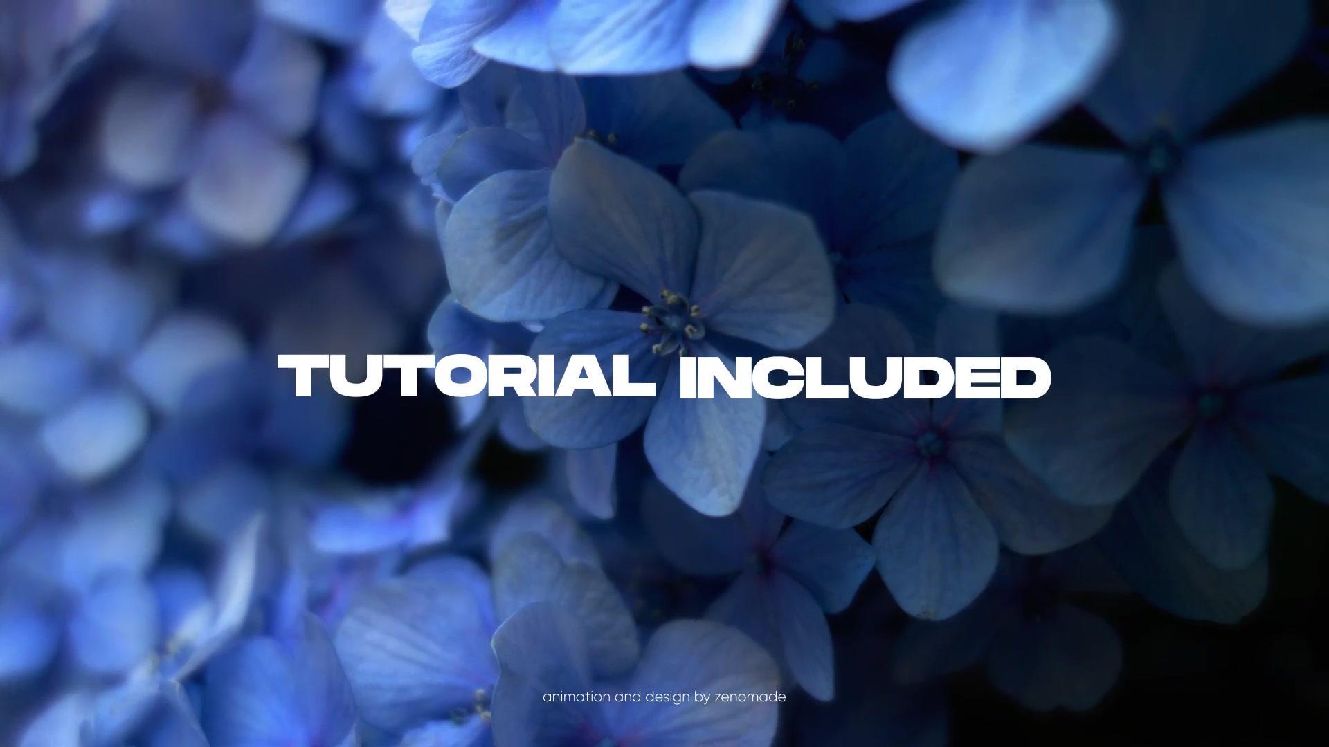 Fresh Opener Videohive 32231583 After Effects Image 4