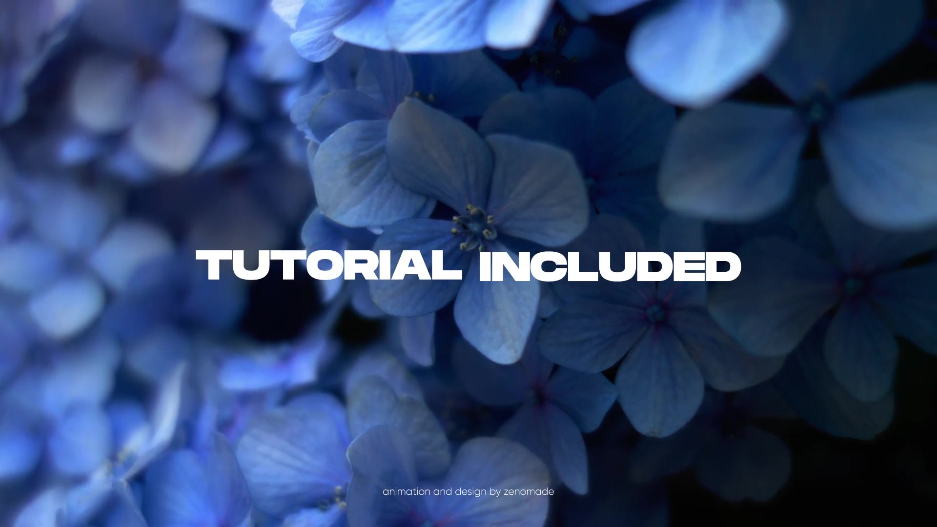 Fresh Opener for Premiere Pro Videohive 32280635 Premiere Pro Image 4