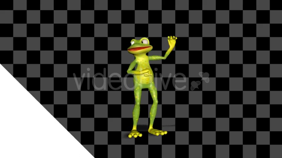 Frog Dancing Videohive 19398029 Motion Graphics Image 7