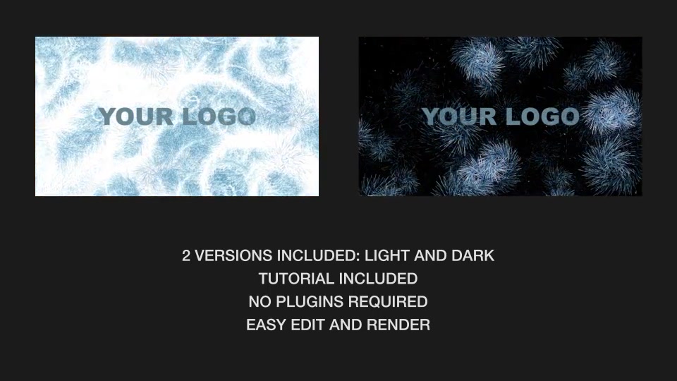 Frost Pattern Logo Videohive 18960889 After Effects Image 9