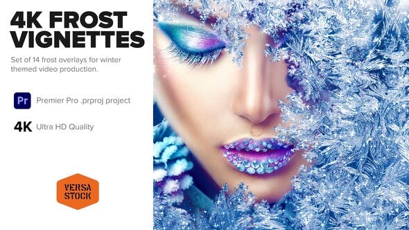 Frost Pattern Vignettes 4K - 35050687 Download Videohive