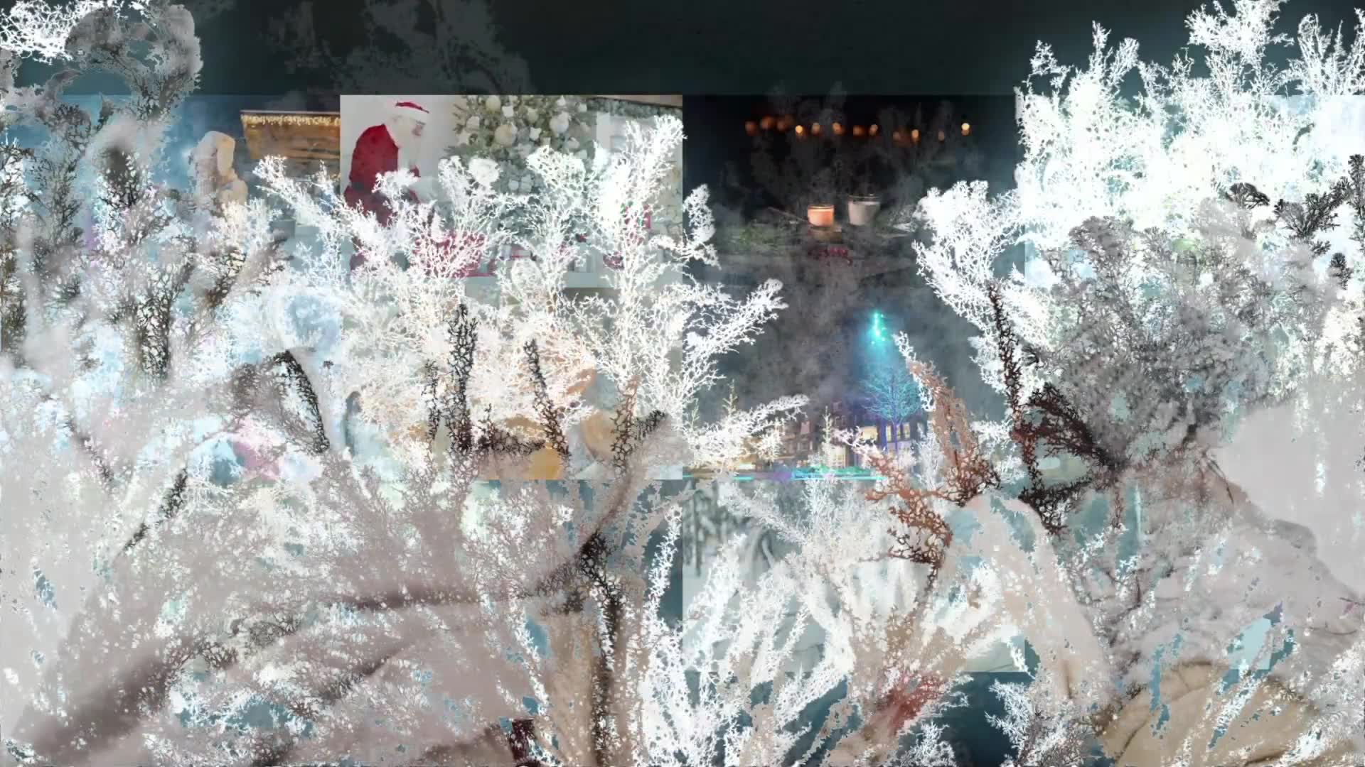 Frosty Transitions for FCPX Videohive 35091361 Apple Motion Image 3