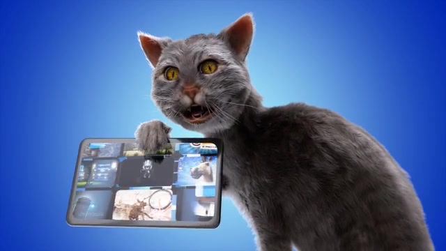 Funny Dramatic Cat Videohive 25771871 After Effects Image 5