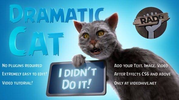 Funny Dramatic Cat Download Rapid Videohive 25771871 After Effects