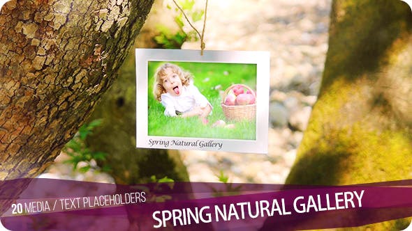 Gallery - 16412173 Download Videohive