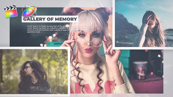 Gallery Of Memory - Download Videohive 23954132