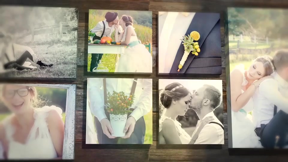 Gallery Wedding Story - Download Videohive 9256448