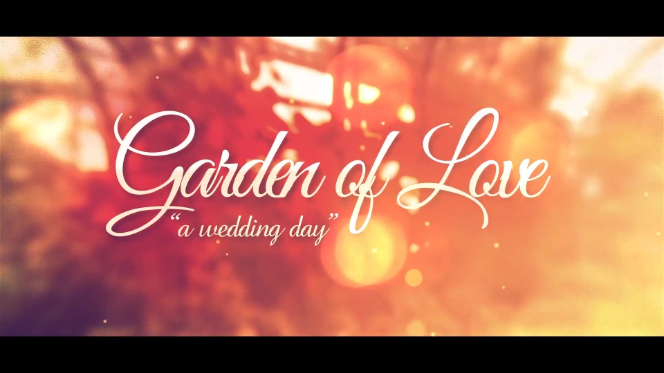 Garden of Love A Wedding Day - Download Videohive 11407853