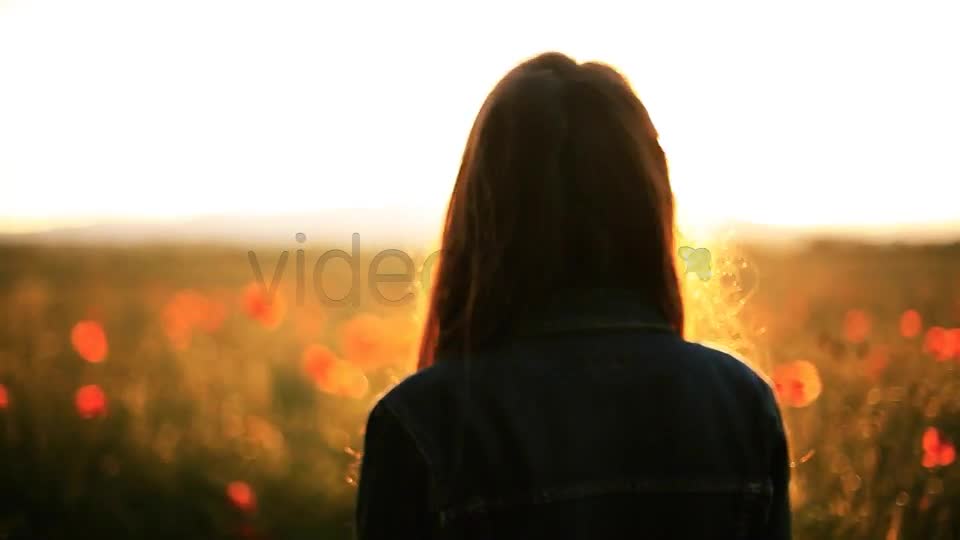 Girl In The Wild Poppies Field  Videohive 5006074 Stock Footage Image 1