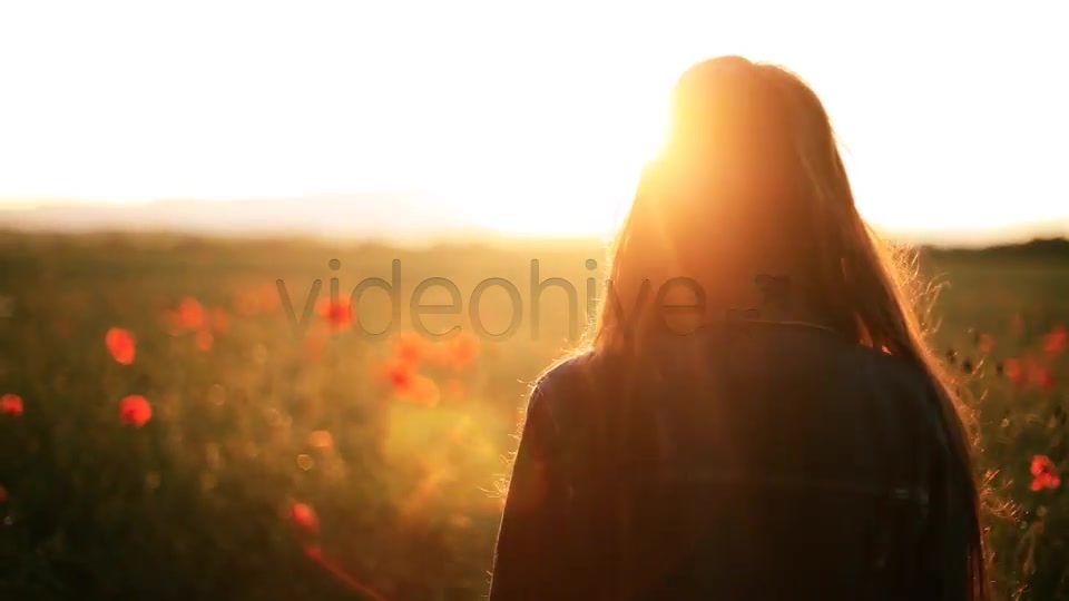 Girl In The Wild Poppies Field  Videohive 5006074 Stock Footage Image 10