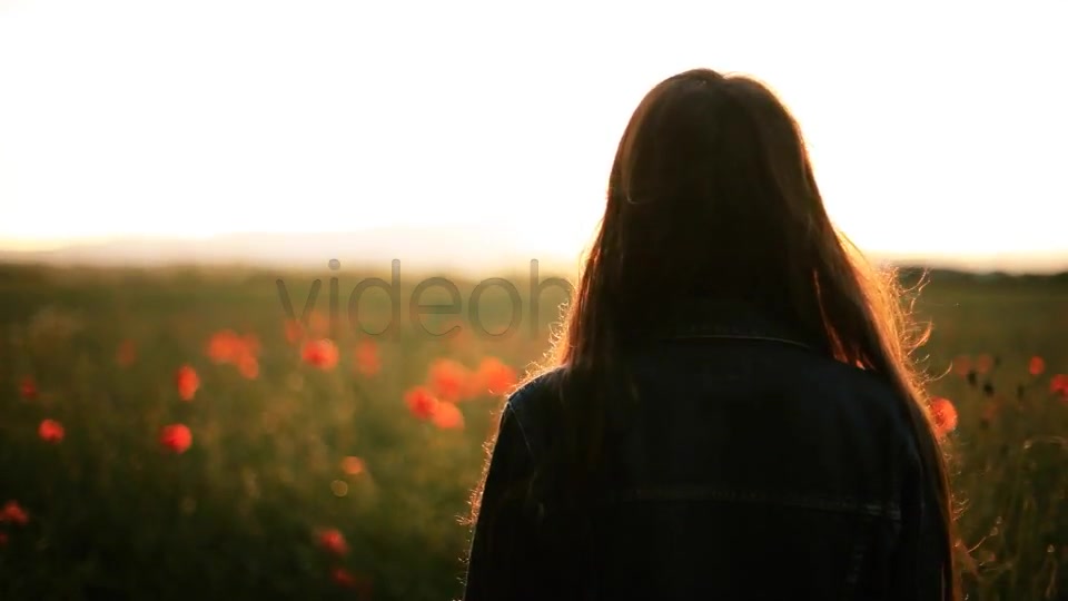 Girl In The Wild Poppies Field  Videohive 5006074 Stock Footage Image 11