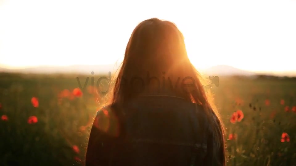Girl In The Wild Poppies Field  Videohive 5006074 Stock Footage Image 12